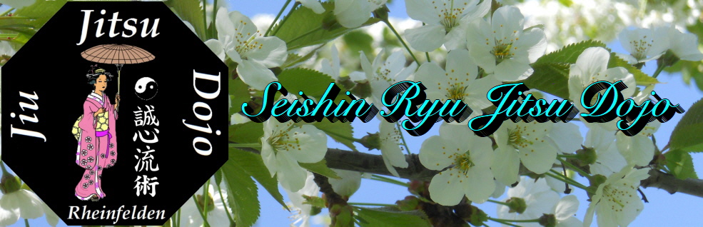 Jiu Jitsu Dojo Rheinfelden